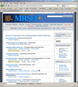 REU summary listing